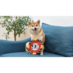 Fetch For Pets Harry Potter 9 3/4 Platform Frisbee Dog Toy -PetSafe Kong Shop 367785 PT4. AC SS1800 V1645226233