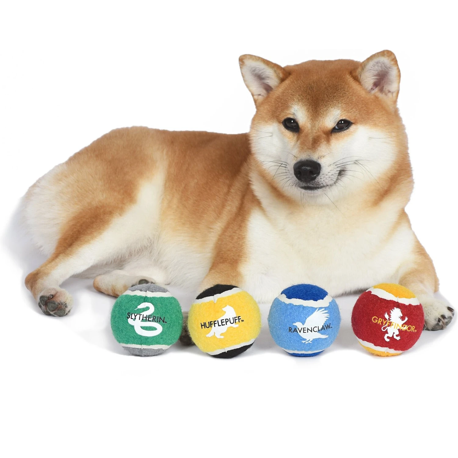 Fetch For Pets Harry Potter 4PK Hogwarts Pride Tennis Ball Dog Toy 5 Fetch For Pets Harry Potter 4PK Hogwarts Pride Tennis Ball Dog Toy - Image 5