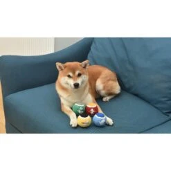 Fetch For Pets Harry Potter 4PK Hogwarts Pride Tennis Ball Dog Toy 13 Fetch For Pets Harry Potter 4PK Hogwarts Pride Tennis Ball Dog Toy -PetSafe Kong Shop 367787 PT6. AC SS1800 V1645230706