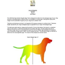 DNA My Dog NextGen Canine Breed Identification PLUS Genetic Age Test -PetSafe Kong Shop 367911 PT4. AC SS1800 V1644448288