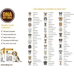 DNA My Dog NextGen Canine Breed Identification PLUS Genetic Age Test -PetSafe Kong Shop 367911 PT6. AC SS1800 V1644477743