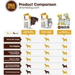 DNA My Dog NextGen Canine Breed Identification PLUS Genetic Age Test -PetSafe Kong Shop 367911 PT7. AC SS1800 V1644463319