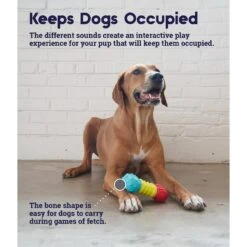 Petstages Multi-Squeak Bone Dog Chew Toy 10 Petstages Multi-Squeak Bone Dog Chew Toy -PetSafe Kong Shop 367946 PT3. AC SS1800 V1644525450