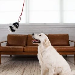 Outward Hound Fox Tail Teaser Wand Dog Toy Replacement Lure 12 Outward Hound Fox Tail Teaser Wand Dog Toy Replacement Lure -PetSafe Kong Shop 368180 PT5. AC SS1800 V1644529397