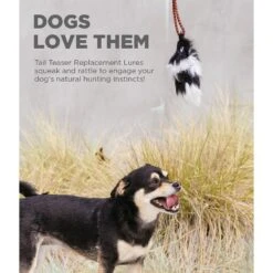 Outward Hound Beaver Tail Teaser Wand Dog Toy Replacement Lure -PetSafe Kong Shop 368182 PT2. AC SS1800 V1644527858