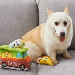 Outward Hound Hide A Taco Puzzle Plush Dog Toy -PetSafe Kong Shop 368188 PT4. AC SS1800 V1644524796