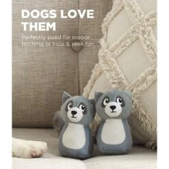 Outward Hound Squeakin' Racoon Hide A Puzzle Plush Dog Toy, 3 Count 7 Outward Hound Squeakin' Racoon Hide A Puzzle Plush Dog Toy, 3 Count -PetSafe Kong Shop 368192 PT1. AC SS1800 V1644525426