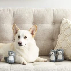 Outward Hound Squeakin' Racoon Hide A Puzzle Plush Dog Toy, 3 Count 10 Outward Hound Squeakin' Racoon Hide A Puzzle Plush Dog Toy, 3 Count -PetSafe Kong Shop 368192 PT4. AC SS1800 V1644523408