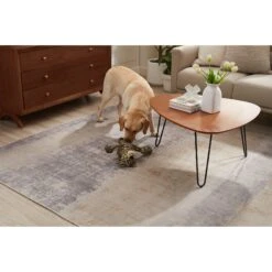 Outward Hound Tuggy Buddyz Leopard Rope Squeaky Dog Toy 10 Outward Hound Tuggy Buddyz Leopard Rope Squeaky Dog Toy -PetSafe Kong Shop 368194 PT4. AC SS1800 V1644523415