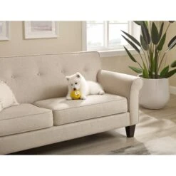 Outward Hound Sillyz Chick Latex Rubber Squeaky Ball Dog Toy 10 Outward Hound Sillyz Chick Latex Rubber Squeaky Ball Dog Toy -PetSafe Kong Shop 368196 PT4. AC SS1800 V1644532945