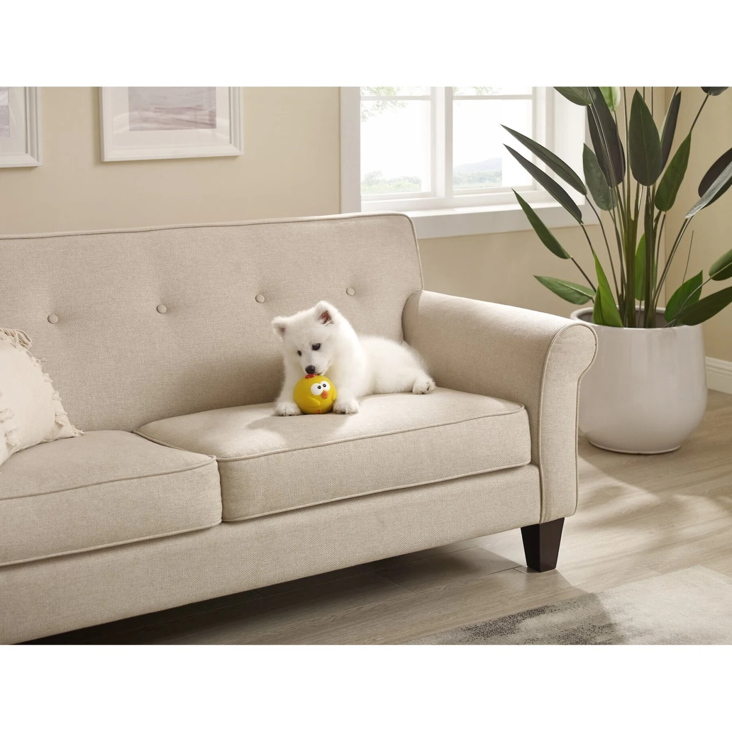 Outward Hound Sillyz Chick Latex Rubber Squeaky Ball Dog Toy 5 Outward Hound Sillyz Chick Latex Rubber Squeaky Ball Dog Toy - Image 5