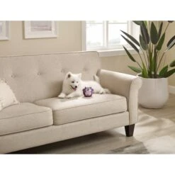 Outward Hound Sillyz Cow Latex Rubber Squeaky Ball Dog Toy -PetSafe Kong Shop 368198 PT4. AC SS1800 V1644532018