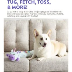 Charming Pet Longidudes Unicorn Plush & Squeaky Dog Tug Toy, Blue -PetSafe Kong Shop 368210 PT3. AC SS1800 V1644528445
