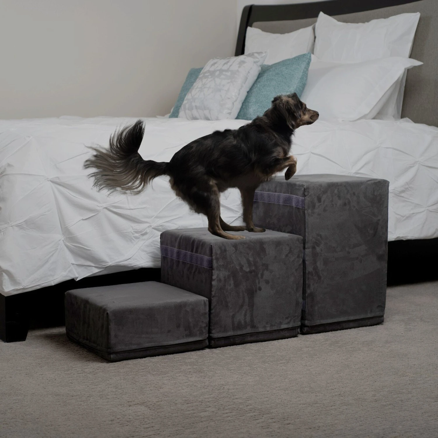 Royal Ramps 2-Step Dog & Cat Stairs 6 Royal Ramps 2-Step Dog & Cat Stairs - Image 6