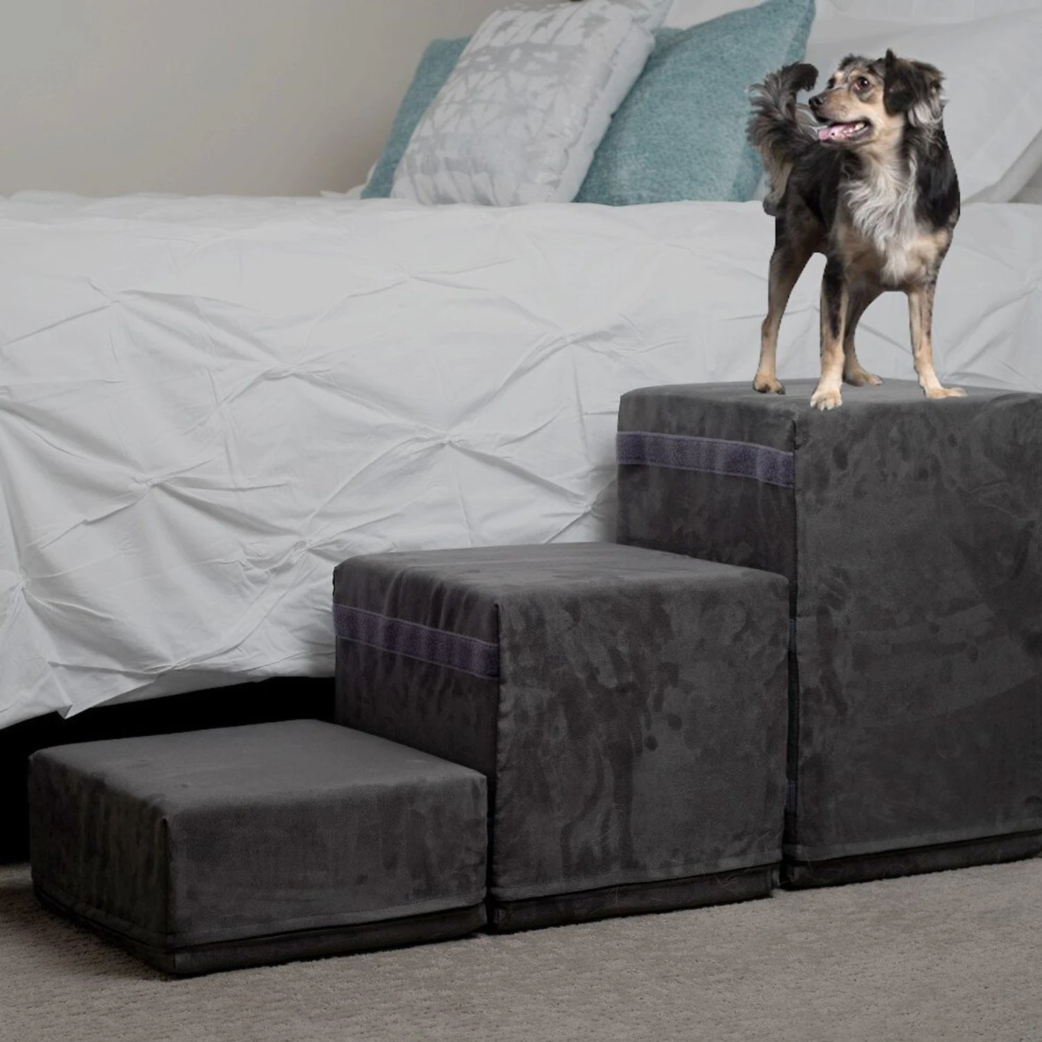 Royal Ramps 2-Step Dog & Cat Stairs 9 Royal Ramps 2-Step Dog & Cat Stairs - Image 9