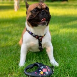 WAUDOG R-leash Retractable "NASA" Design Dog Leash -PetSafe Kong Shop 368840 PT2. AC SS1800 V1645230709
