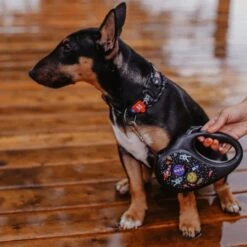 WAUDOG R-leash Retractable "NASA" Design Dog Leash -PetSafe Kong Shop 368840 PT4. AC SS1800 V1645222915