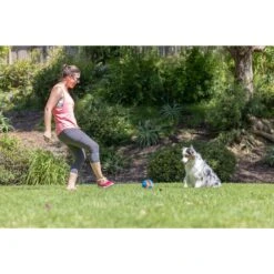 Chuckit! Giggle Kick Fetch Dog Toy, Blue -PetSafe Kong Shop 369053 PT4. AC SS1800 V1645582368