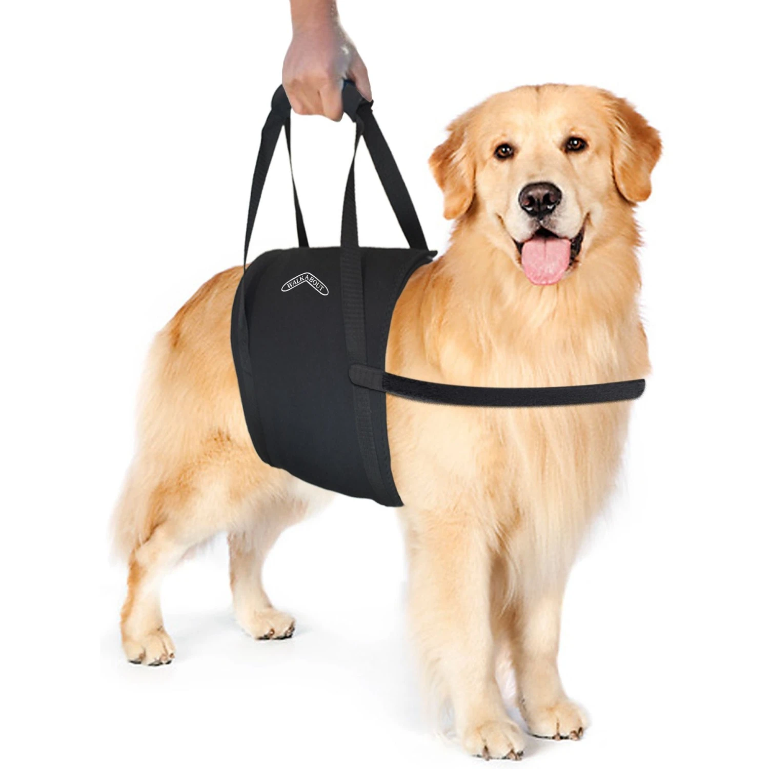 WALKABOUT Walkabelly Support Sling Dog Harness 1 WALKABOUT Walkabelly Support Sling Dog Harness