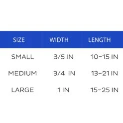 Boulevard Personalized Palm Dog Collar 6 Boulevard Personalized Palm Dog Collar -PetSafe Kong Shop 369859 PT2. AC SS1800 V1649488285