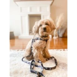 Boulevard Personalized Camo Dog Harness 11 Boulevard Personalized Camo Dog Harness -PetSafe Kong Shop 369875 PT5. AC SS1800 V1649477785