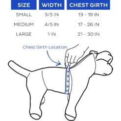 Boulevard Personalized Stripe Dog Harness 8 Boulevard Personalized Stripe Dog Harness -PetSafe Kong Shop 369906 PT3. AC SS1800 V1649466119