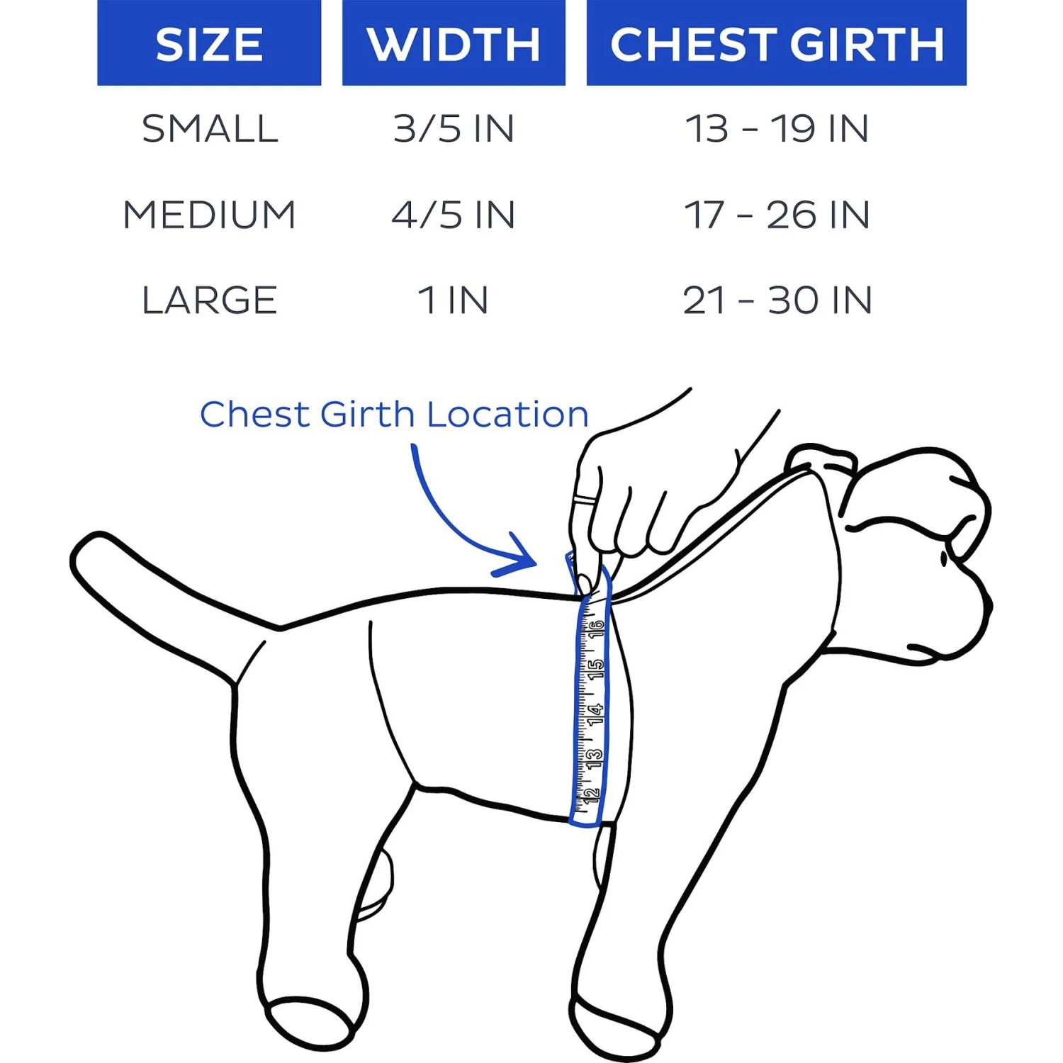 Boulevard Personalized Stripe Dog Harness 4 Boulevard Personalized Stripe Dog Harness - Image 4