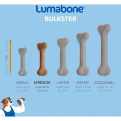Lumabone Bulkster Bacon Flavor Dog Toy -PetSafe Kong Shop 370197 PT5. AC SS1800 V1646764954