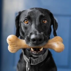 Lumabone Bulkster Beef Flavor Dog Toy -PetSafe Kong Shop 370204 PT4. AC SS1800 V1646795884