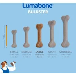Lumabone Bulkster Beef Flavor Dog Toy -PetSafe Kong Shop 370204 PT5. AC SS1800 V1646765525