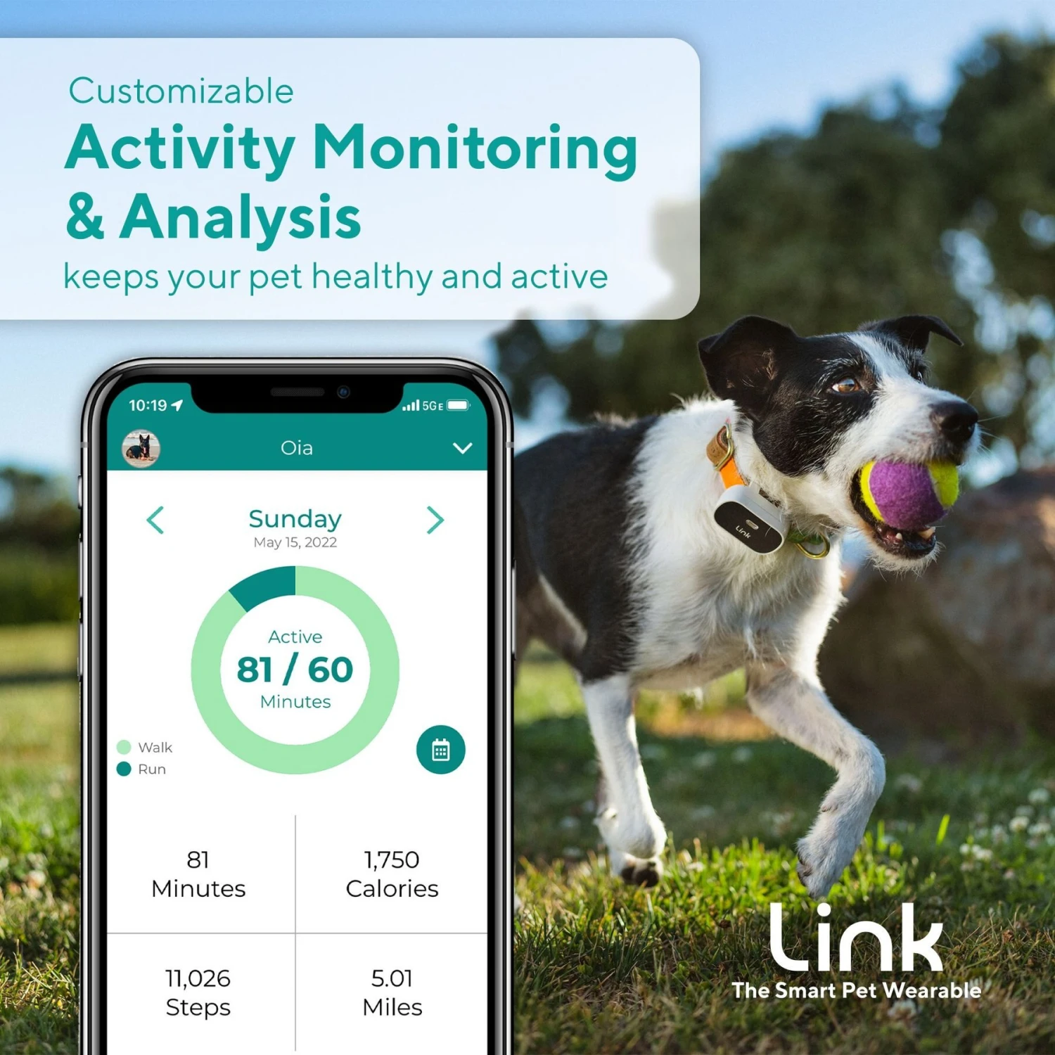 Link My Pet Dog GPS & Activity Tracker With Training Tools & Wrap 5 Link My Pet Dog GPS & Activity Tracker With Training Tools & Wrap - Image 5