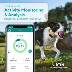 Link My Pet Dog GPS & Activity Tracker With Training Tools & Link Bluetooth Beacon, Black & White -PetSafe Kong Shop 370217 PT4. AC SS1800 V1657657434