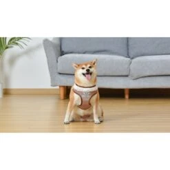 Star Wars By Fetch For Cool Pets Mandalorian The Child Dog Harness 9 Star Wars By Fetch For Cool Pets Mandalorian The Child Dog Harness -PetSafe Kong Shop 370819 PT4. AC SS1800 V1673977652