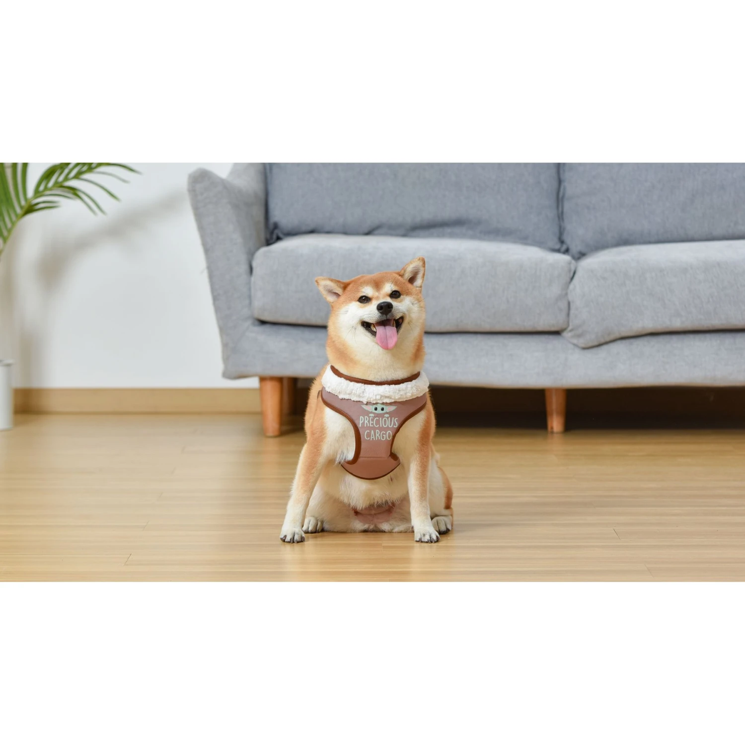 Star Wars By Fetch For Cool Pets Mandalorian The Child Dog Harness 5 Star Wars By Fetch For Cool Pets Mandalorian The Child Dog Harness - Image 5