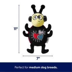 Frisco Valentine Jammin' Ladybug Plush Squeaky Dog Toy -PetSafe Kong Shop 371083 PT1. AC SS1800 V1701364920