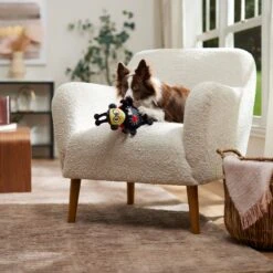 Frisco Valentine Jammin' Ladybug Plush Squeaky Dog Toy -PetSafe Kong Shop 371083 PT3. AC SS1800 V1668737455