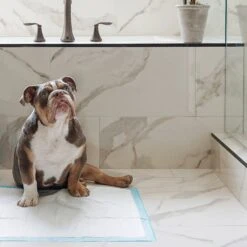 Four Paws Wee-Wee Superior Performance Dog Pee Pads, 14 Count 11 Four Paws Wee-Wee Superior Performance Dog Pee Pads, 14 Count -PetSafe Kong Shop 49141 PT2. AC SS1800 V1627947371