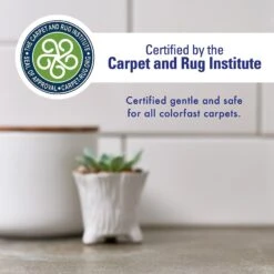 Rocco & Roxie Supply Co. Oxy Stain Remover Powerful Multi-Purpose Cleaner, 32-oz Bottle -PetSafe Kong Shop 504534 PT2. AC SS1800 V1648283183