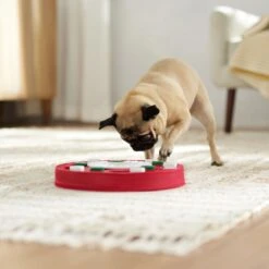 Frisco Bento Interactive Puzzle Dog Toy, Moderate -PetSafe Kong Shop 506226 PT5. AC SS1800 V1674664929