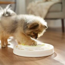 Frisco Tiered Cake Interactive Puzzle Dog Toy, Easy -PetSafe Kong Shop 506346 PT5. AC SS1800 V1674666566