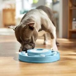 Frisco Two Tier Interactive Puzzle Dog Toy, Easy 12 Frisco Two Tier Interactive Puzzle Dog Toy, Easy -PetSafe Kong Shop 506370 PT5. AC SS1800 V1674671566