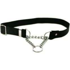 Euro-Dog Modern Leather Martingale Dog Collar -PetSafe Kong Shop 508998 PT1. AC SS1800 V1649804203