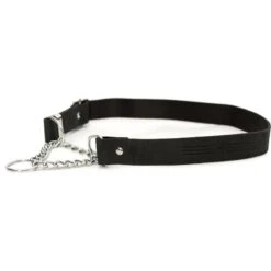 Euro-Dog Modern Leather Martingale Dog Collar -PetSafe Kong Shop 508998 PT2. AC SS1800 V1649822499