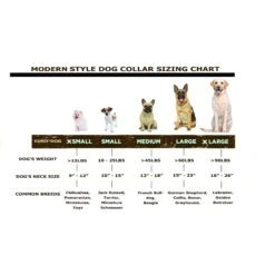 Euro-Dog Modern Leather Martingale Dog Collar -PetSafe Kong Shop 508998 PT4. AC SS1800 V1649818588