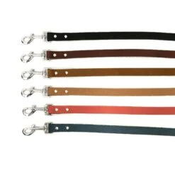 Euro-Dog Modern Leather Dog Lead -PetSafe Kong Shop 509470 PT2. AC SS1800 V1649820747