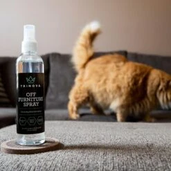 TriNova Off Furniture Cat & Dog Deterrent Spray, 8-oz Bottle -PetSafe Kong Shop 511822 PT5. AC SS1800 V1649110615