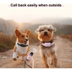 PATPET 682B 1000ft Remote Dog Training Collar, Pink, Small 10 PATPET 682B 1000ft Remote Dog Training Collar, Pink, Small -PetSafe Kong Shop 511958 PT2. AC SS1800 V1649818007