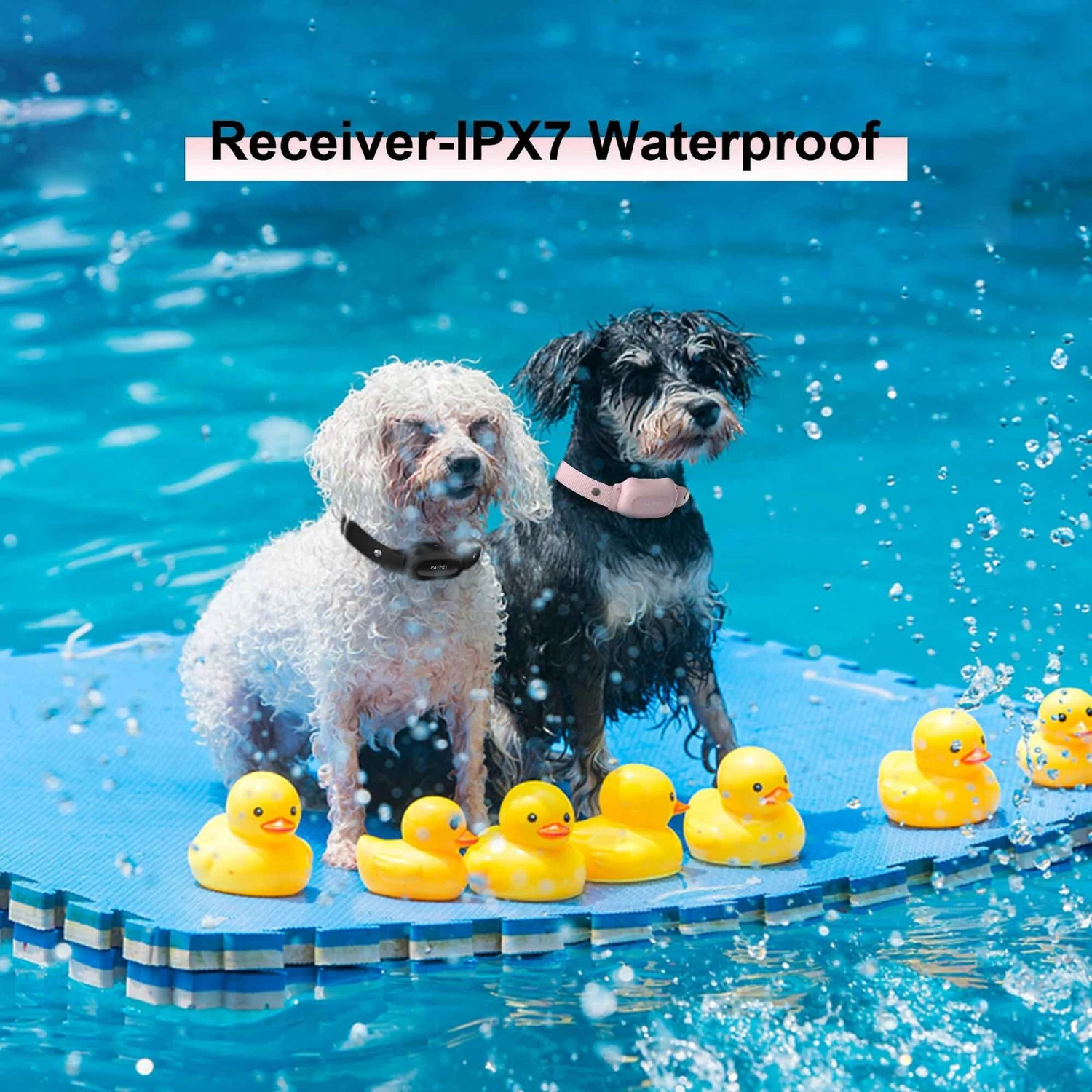 PATPET 682B 1000ft Remote Dog Training Collar, Pink, Small 6 PATPET 682B 1000ft Remote Dog Training Collar, Pink, Small - Image 6