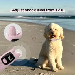 PATPET 682B 1000ft Remote Dog Training Collar, Pink, Small 14 PATPET 682B 1000ft Remote Dog Training Collar, Pink, Small -PetSafe Kong Shop 511958 PT6. AC SS1800 V1649817703