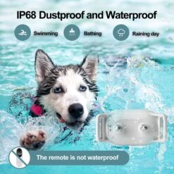 Petdiary T200 Waterproof Remote Dog Training Collar, White -PetSafe Kong Shop 514318 PT5. AC SS1800 V1658212738